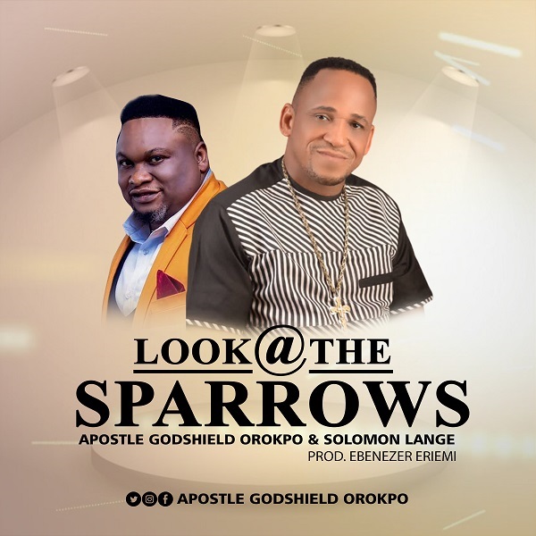 Look At The Sparrows - Apostle Godshield Orokpo ft. Solomon Lange