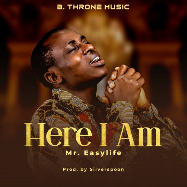 HERE I AM - Mr. Easylife