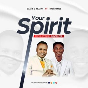 Your Spirit By Evans C Ifeanyi