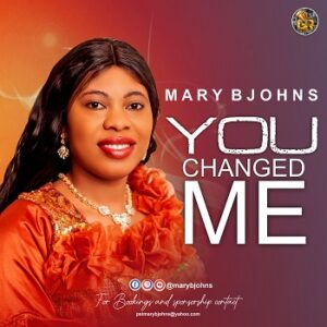 Download You Changed Me by Mary Bjohns